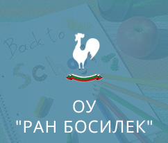 Web Development for Основно училище Ран Босилек